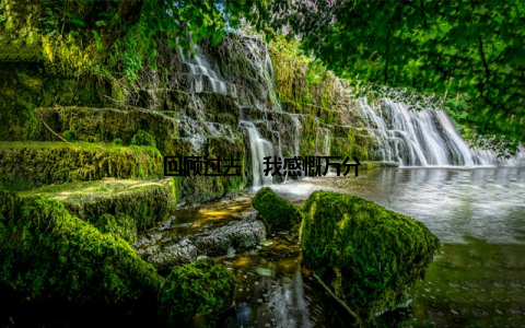 回顾过去, 我感慨万分