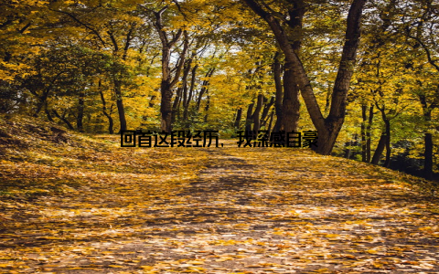 回首这段经历, 我深感自豪