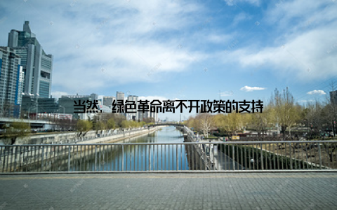 当然, 绿色革命离不开政策的支持