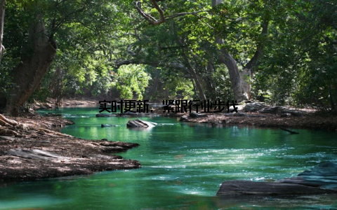 实时更新, 紧跟行业步伐