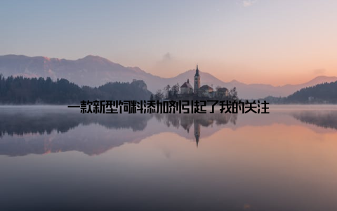 一款新型饲料添加剂引起了我的关注