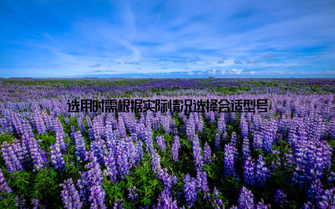 选用时需根据实际情况选择合适型号