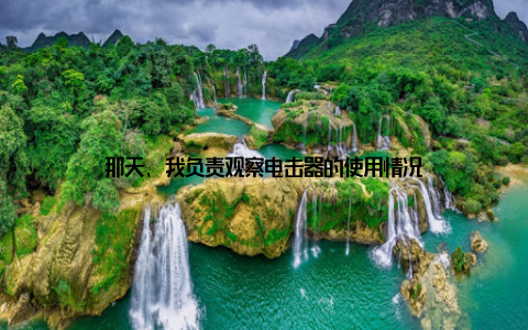 那天, 我负责观察电击器的使用情况