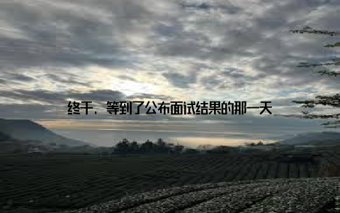 终于, 等到了公布面试结果的那一天