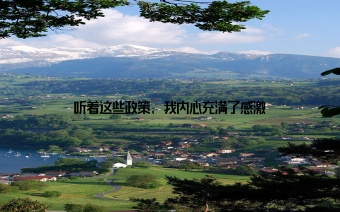 听着这些政策, 我内心充满了感激