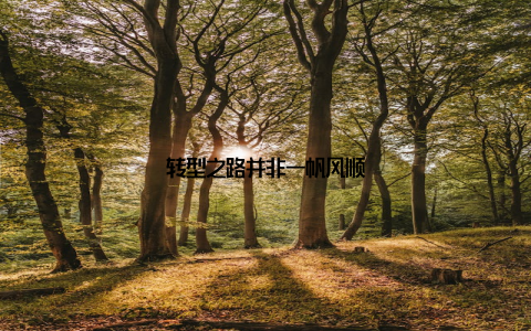 转型之路并非一帆风顺