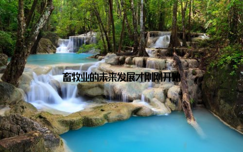 畜牧业的未来发展才刚刚开始