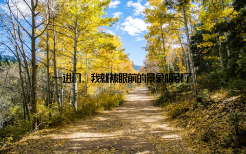 一进门, 我就被眼前的景象吸引了