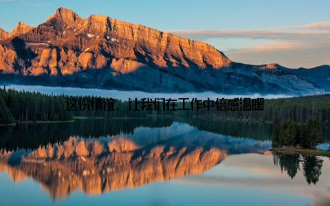 这份情谊, 让我们在工作中倍感温暖