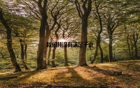 我们并没有满足于此