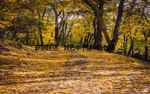 听到这话, 我心中不禁一阵刺痛