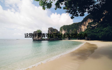 这是许多青年在平台上发出的心声