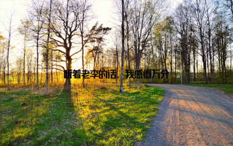 听着老李的话, 我感慨万分