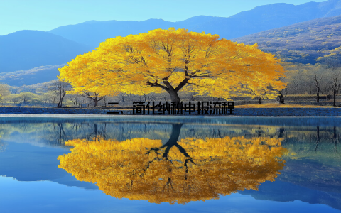 二、简化纳税申报流程