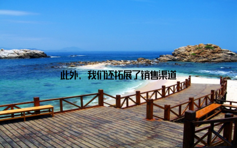 此外, 我们还拓展了销售渠道