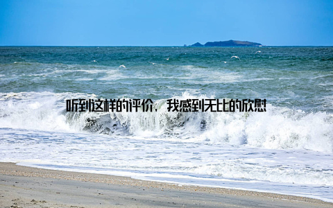 听到这样的评价, 我感到无比的欣慰