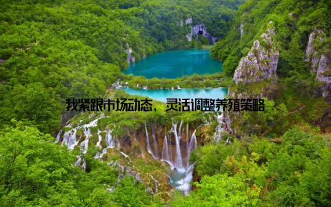 我紧跟市场动态, 灵活调整养殖策略