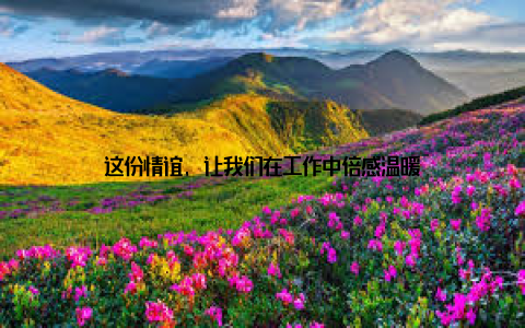 这份情谊, 让我们在工作中倍感温暖